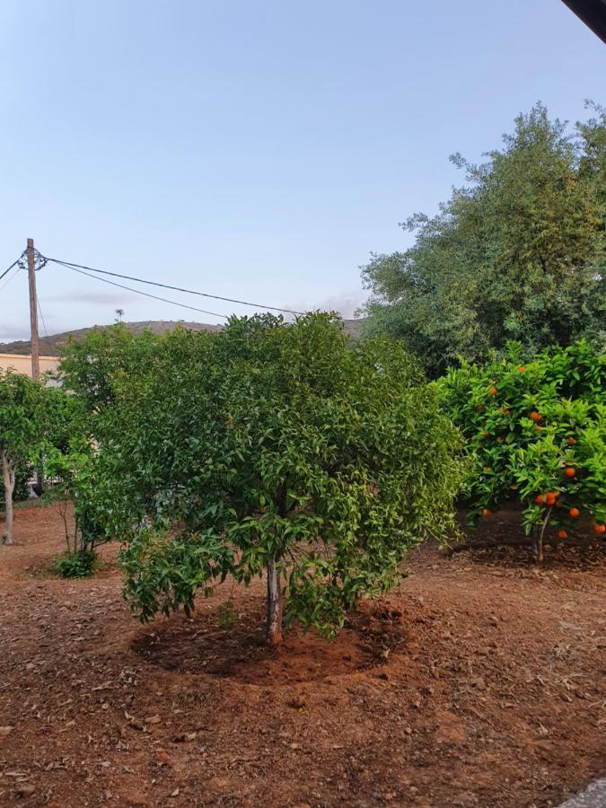 Chania Casa Portokali Perivolia  Luaran gambar